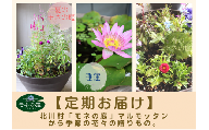 [定期お届け]北川村｢モネの庭｣から季節の花々の贈りもの。