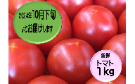 TR-03◆愛情たっぷり新鮮トマト１kg