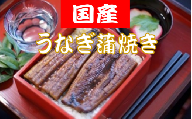 TR-09◆国産うなぎの蒲焼き（約150g×５匹セットでお届けします）