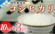 令和５年産 (精白米)　特別栽培米　こしひかり10kg ×3袋