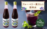 岡垣町産 ブルーベリー 果汁入り 飲料水 2本 セット