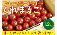 フルーツミニトマト『くれまるこ』1.2kg