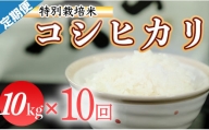 令和５年産 (精白米)　特別栽培米　こしひかり10kg ×10袋