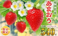 [ 数量限定 ] 福岡県産 あまおう 約270g×2パック[2月以降順次発送]_ いちご 苺 イチゴ フルーツ 果物 