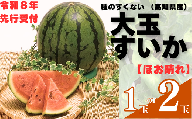 103001 山中農園のスイカ 1玉[先行受付] 種が少ない 選べる 1玉 2玉 フルーツ 産地直送 完熟 糖度 リピーター率高い 甘い 大玉 西瓜 すいか/高知県 奈半利町
