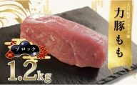 【高知県 大月町産ブランド豚】力豚もも　ブロック1.2kg