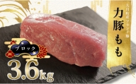 【高知県 大月町産ブランド豚】力豚もも　ブロック3.6kg