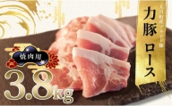 【高知県 大月町産ブランド豚】力豚ロース　焼き肉用3.8kg