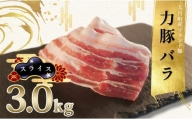 【高知県 大月町産ブランド豚】力豚バラ　スライス 3kg