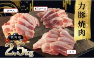 【高知県 大月町産ブランド豚】力豚焼き肉2.5kgセット