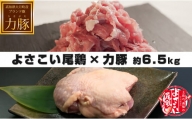 【高知県 大月町のブランド銘柄】よさこい尾鶏×力豚　約6.5kgセット