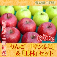 りんご【サンふじ＆王林】セット 14～18玉 約5kg【2023年産・先行受付分】
