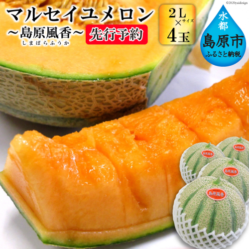 BD203【令和8年度出荷分】マルセイユメロン～島原風香～（2L×4玉） [農事組合法人　『舞岳の里』生産組合 長崎県 島原市 BD203] メロン 赤肉 果物 くだもの フルーツ 産地直送 79324 - 長崎県島原市