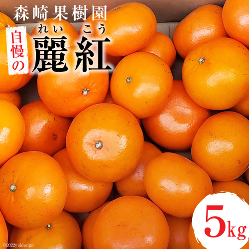 BD021 森崎果樹園自慢の『麗紅（れいこう）』5kg [みかん ミカン れいこう 麗紅 5キロ 果物 森崎果樹園 長崎県 島原市] 79340 - 長崎県島原市