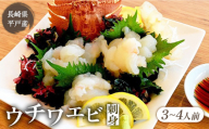 <お届け時間選べます>【あま～い！おいしい！凝縮された旨み】 平戸 ウチワエビ 刺身 約170g （ポン酢付） 平戸市 / ひばり [KAA061]