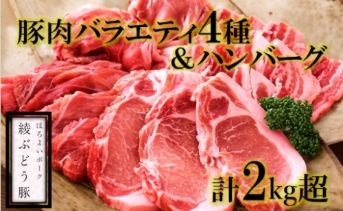 36-97_綾ぶどう豚食べ尽くしセット＆ぶどう豚ハンバーグ