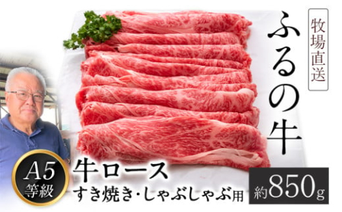 ふるの牛（黒毛和牛）ロースすき焼き・しゃぶしゃぶ用 850g A5 ミシュラン掲載《30日以内に出荷予定(土日祝除く)》