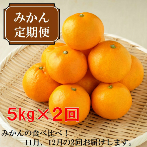 厳選みかん定期便5kg　2回（11月、12月）《先行予約》固定月にお届け予定 79572 - 和歌山県御坊市