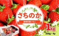 いちご「さちのか」約1kg （250g×4パック）苺 イチゴ 人気 甘い 糖度 長崎市/こすもす会 [LBT009]