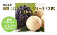 岡山県産フルーツ詰合せ／白桃２玉（１玉220g以上）・ニューピオーネ２房（１房480g以上）（WFH）