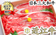 【10月発送分】極上近江牛カルビスライス【800g】【CB06U-10m】