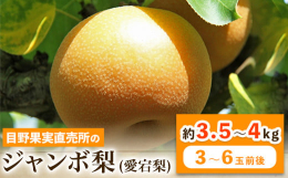 ジュワ〜っと果汁があふれ出す！大きさ平均1kgもある愛宕梨！商品情報：熊本県荒尾市産 愛宕梨名称：梨内容量：約3.5〜4kg(3〜6玉前後)賞味期限：到着から1週間以内にお召し上がりください。保存方法