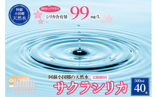 【6回定期便】天然水「サクラシリカ」500ml 40本 6回 計240本 定期便 シリカ含有量99mg/L シリカ水 ラベルレス 水 ミネラルウォーター 飲料水 飲料 ペットボトル ナチュラルウォーター サルフェート 炭酸水素イオン ミネラル 国産 阿蘇 小国郷 798699 - 熊本県小国町