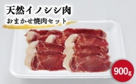 ジビエ 天然イノシシ肉 おまかせ焼肉セット 900g （ロース・モモ・バラ）【照本食肉加工所】 [OAJ005]