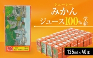 ジューシー みかんジュース 100％ (学給) 125ml×40本