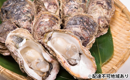 牡蠣 生かき むき身 750g 広島県 呉市産 加熱用 中島水産