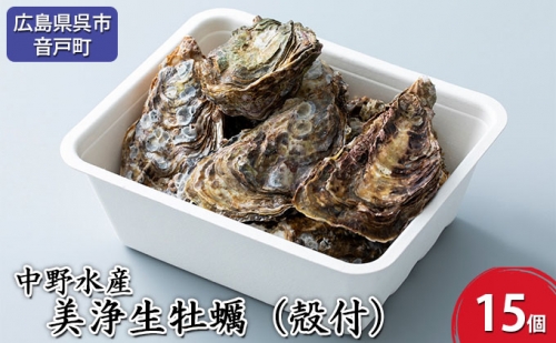 中野水産　美浄生牡蠣（殻付）15個【配送不可地域：北海道・沖縄・離島】