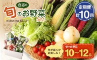 熊本県 合志の旬の お野菜 定期便 年10回 コース