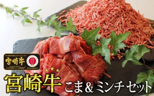 牛肉 宮崎牛 牛こま 400g & ミンチ 600g 計 1kg [SHINGAKI 宮崎県 美郷町 31ag0058] セット 小間 ひき肉 挽き肉 冷凍 宮崎 詰め合わせ 79996 - 宮崎県美郷町