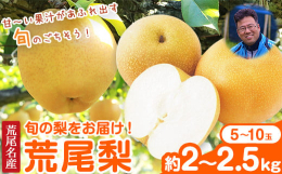 シャキッとひとくち食べれば甘〜い果汁が口いっぱいにあふれだす！商品情報：熊本県荒尾市産 荒尾梨 旬の梨名称：梨内容量：旬の梨(愛甘水、幸水、秋麗、豊水、あきづきのいずれか) 約2〜2.5kg(5〜10