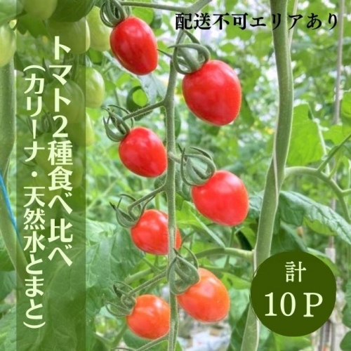  トマト 2種 食べ比べ （ カリーナ ・ 天然水トマト ）計10パック 80125 - 兵庫県加西市