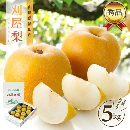 SB0669　酒田の美味しい刈屋梨(和梨) 秀品　約5kg(12～18玉入)　品種おまかせ 80148 - 山形県酒田市