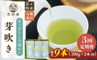 【全3回定期便】「あっさりとした有機栽培茶」さざの 有機栽培茶 芽吹き （100g×3本/回）【宝緑園】 [QAH025]