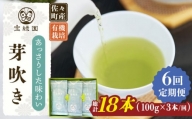 【全6回定期便】「あっさりとした有機栽培茶」さざの 有機栽培茶 芽吹き （100g×3本/回）【宝緑園】 [QAH026]