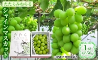 たたらみねらる シャインマスカット 1房（600g以上） 岡山県産 葡萄 ぶどう 果物 フルーツ 2023年 先行予約
