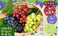 ぶどう食べ比べ 定期便4回 約1.8kg (3〜5房)×4回 合計約7.2kg[2025年7月上旬-10月下旬発送予定]ブドウ 果物 フルーツ 食べ比べ 定期便