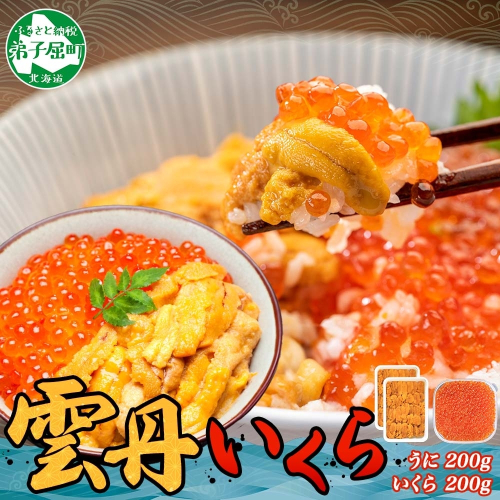 3594. ウニ チリ産 冷凍 100g×2個 いくら 200g 二色丼 雲丹うに イクラ 海鮮 期間限定 数量限定 送料無料 北海道 弟子屈町 80160 - 北海道弟子屈町