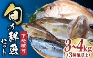 【下処理可】 五島列島産 旬の鮮魚 セット 3種類以上（3～4kg）【有川町漁業協同組合】 [RBH002]
