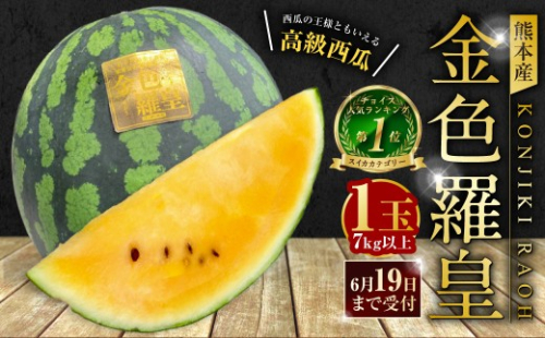 熊本産 金色羅皇 1玉 7キロ以上【2027年5月下旬～6月下旬迄順次発送予定】 西瓜 すいか スイカ 果物 フルーツ くだもの