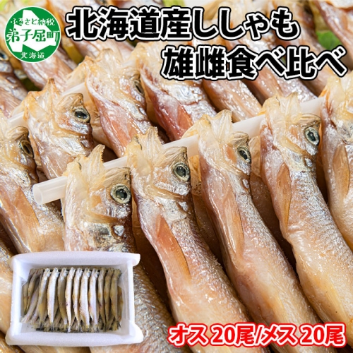 1316. ししゃも 雌雄 食べ比べ セット 40尾 シシャモ 海鮮 魚介 送料無料 北海道 弟子屈町