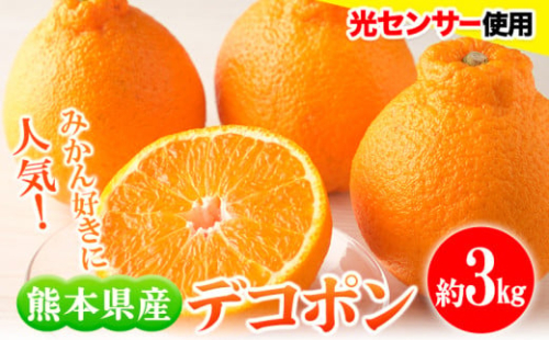 デコポン 約3kg フレッシュフーズ 《3月上旬-4月中旬頃出荷》熊本県産(荒尾市産含む) 柑橘 フルーツ フレッシュフーズ みかん 不知火と同品種 果物