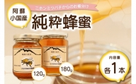 【阿蘇・小国産】二ホンミツバチの純粋蜂蜜2本セット（180gと120ｇ）（合計300g）