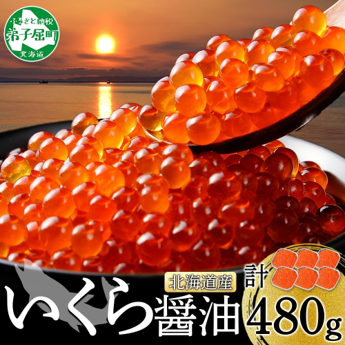 3363. いくら醤油漬け 80g×6個 いくら イクラ 魚卵 魚介 海鮮 送料無料 北海道 弟子屈町 80196 - 北海道弟子屈町