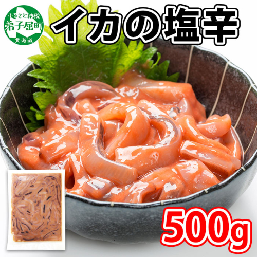 3163. いかの塩辛 500g いか イカ 烏賊 おつまみ 魚介 海鮮 送料無料 北海道 弟子屈町 80205 - 北海道弟子屈町