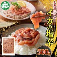 3163. いかの塩辛 500g いか イカ 烏賊 おつまみ 魚介 海鮮 送料無料 北海道 弟子屈町