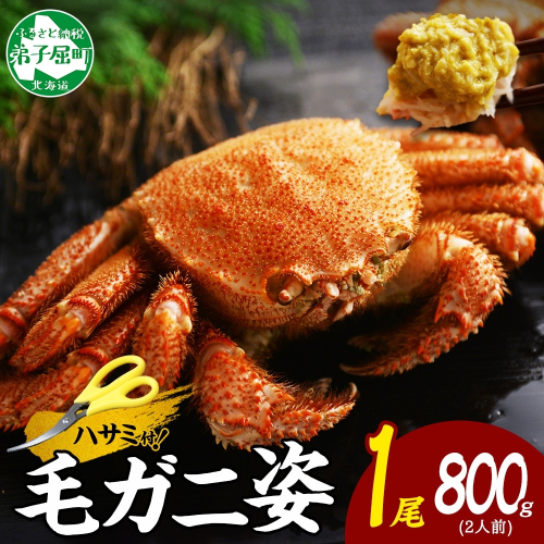 3302. ボイル毛蟹姿 800g 食べ方ガイド・専用ハサミ付 カニ かに 送料無料 北海道 弟子屈町 80253 - 北海道弟子屈町